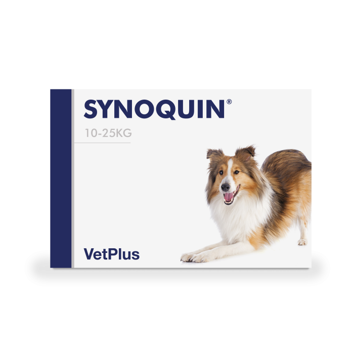 Synoquin EFA Medium kaps 30 kpl