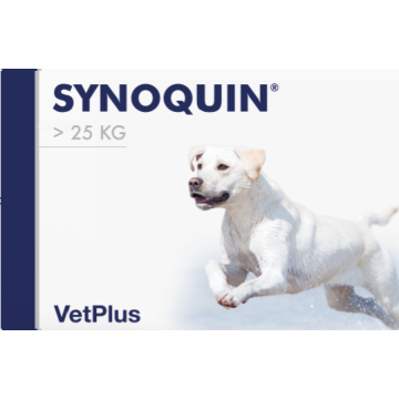 Synoquin EFA Large kaps 30 kpl
