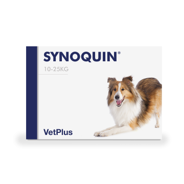 Synoquin EFA Medium kaps 30 kpl